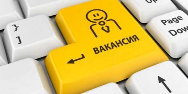 работа, вакансия