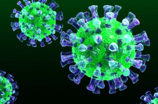 coronovirus