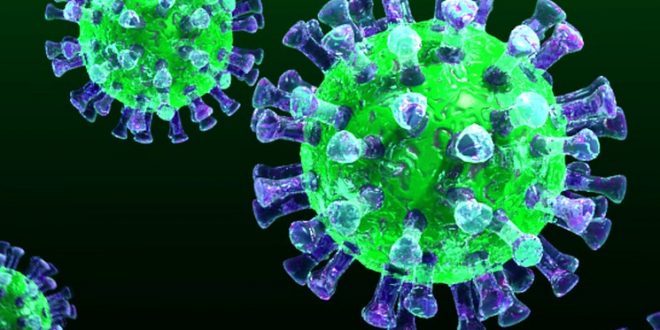 coronovirus