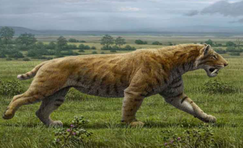 Smilodon